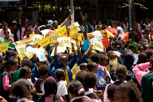 4037416724_efcc568fe2