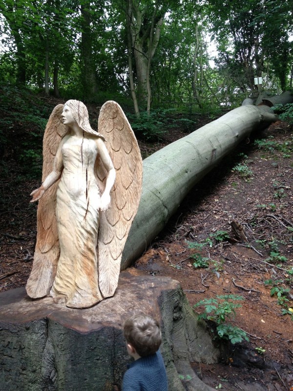 The beech forest is so old that some of the trees are starting to die of old age. They are turned into sculptures when they die.