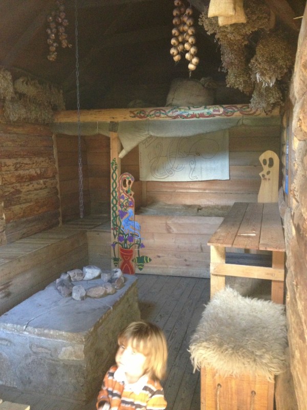 Inside a Viking home