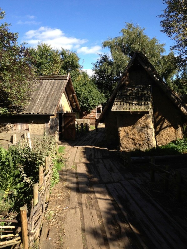 The Viking Village