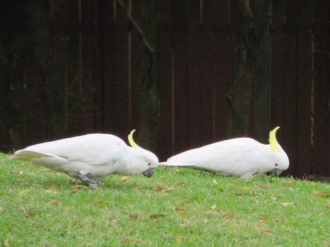 9047023387_ec076b6b0d_o