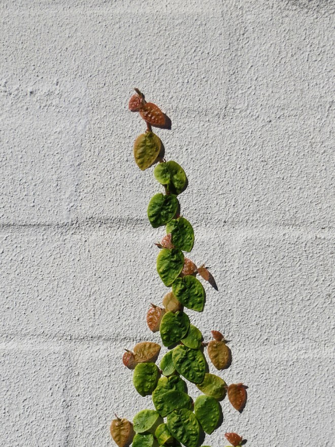 9056594563_49833e3035_o