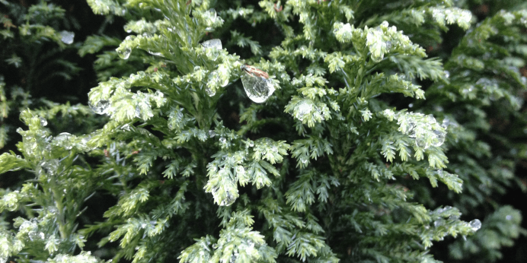 A guest post from Busby the&nbsp;bike