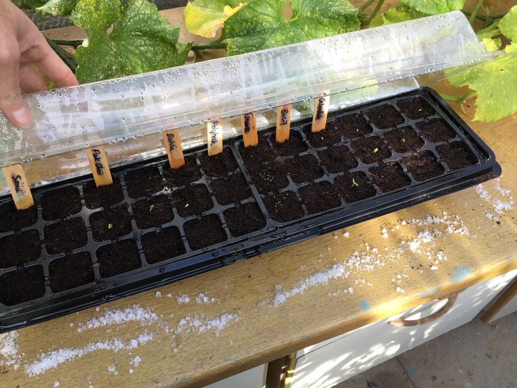 Can I outwit a&nbsp;slug?