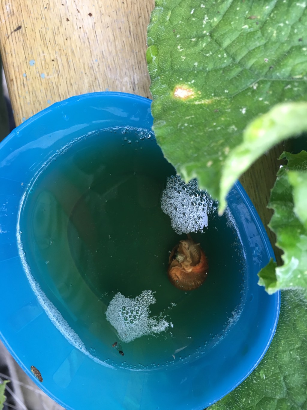 Doctor Who, Sherlock, and drowning in&nbsp;beer