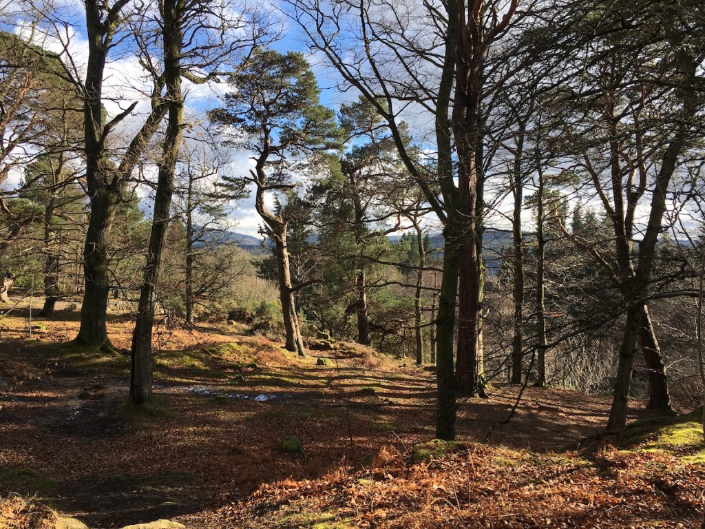 Gardens and woodland walks at Crathes&nbsp;Castle