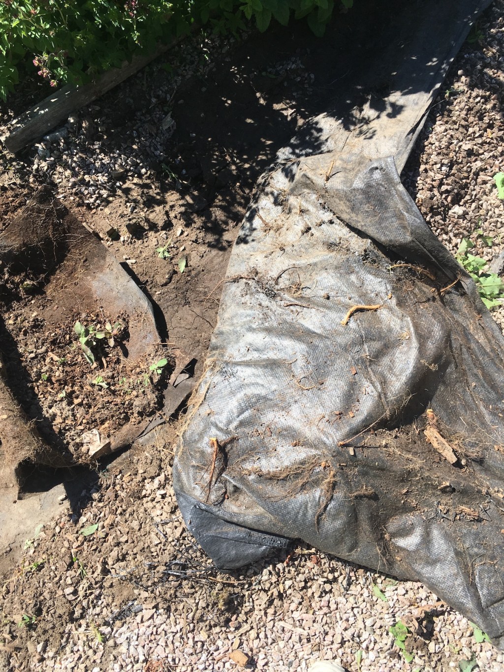 Why I dislike weed&nbsp;matting