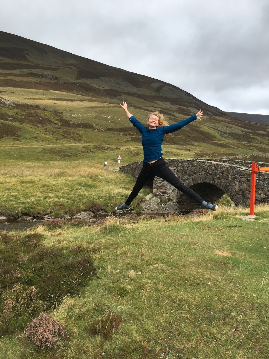 Gathering llamas with the&nbsp;Queen