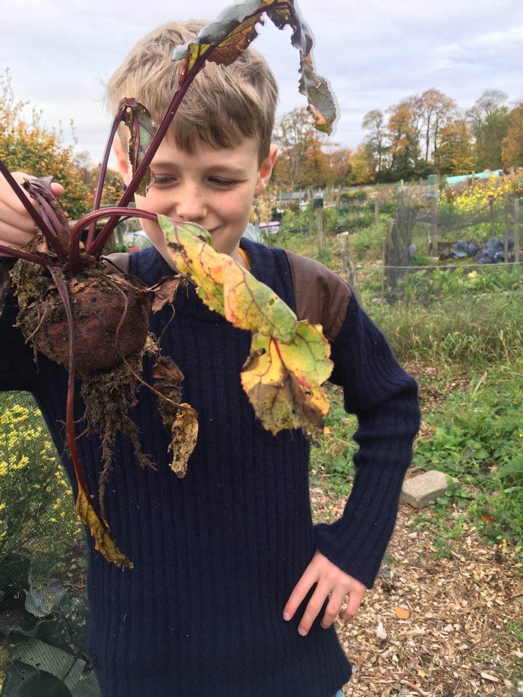 Beetroots, beans and&nbsp;bikes
