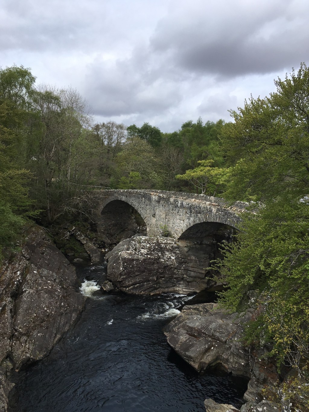 The Loch Ness&nbsp;Tickular
