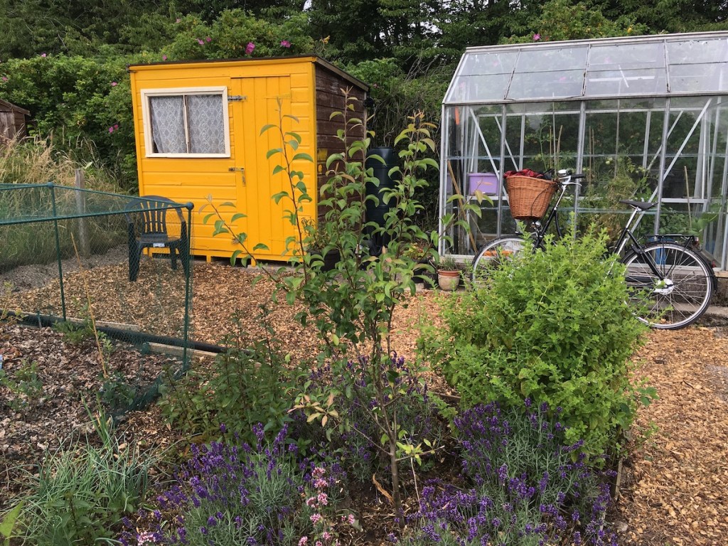 More plotting at the&nbsp;allotments