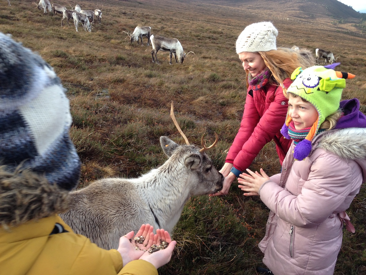 2019-11-24 11.58.43.jpg