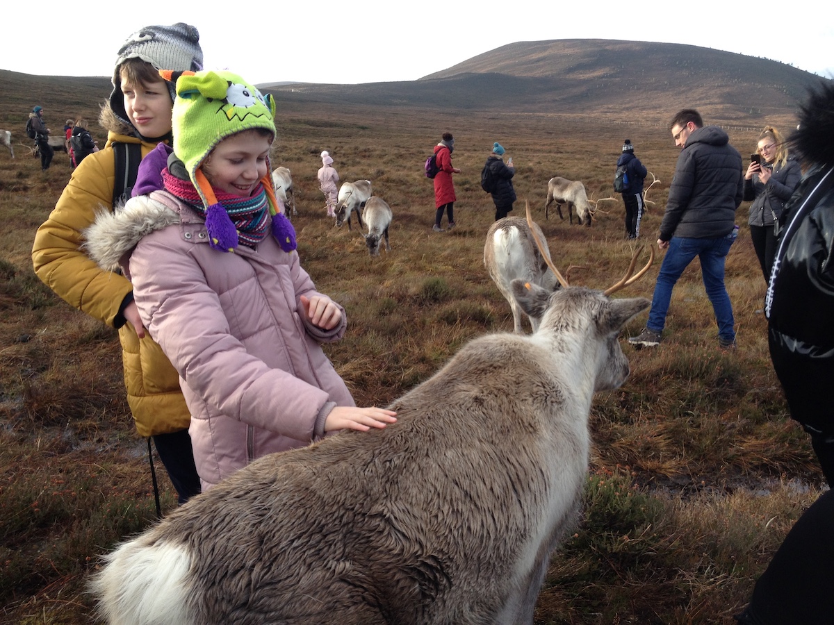 2019-11-24 12.02.29.jpg