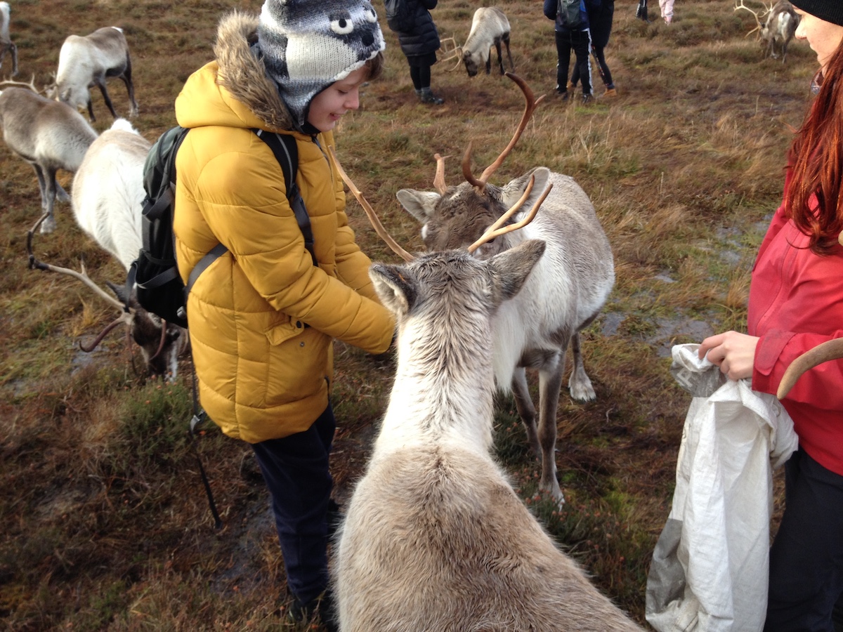 2019-11-24 12.03.45.jpg