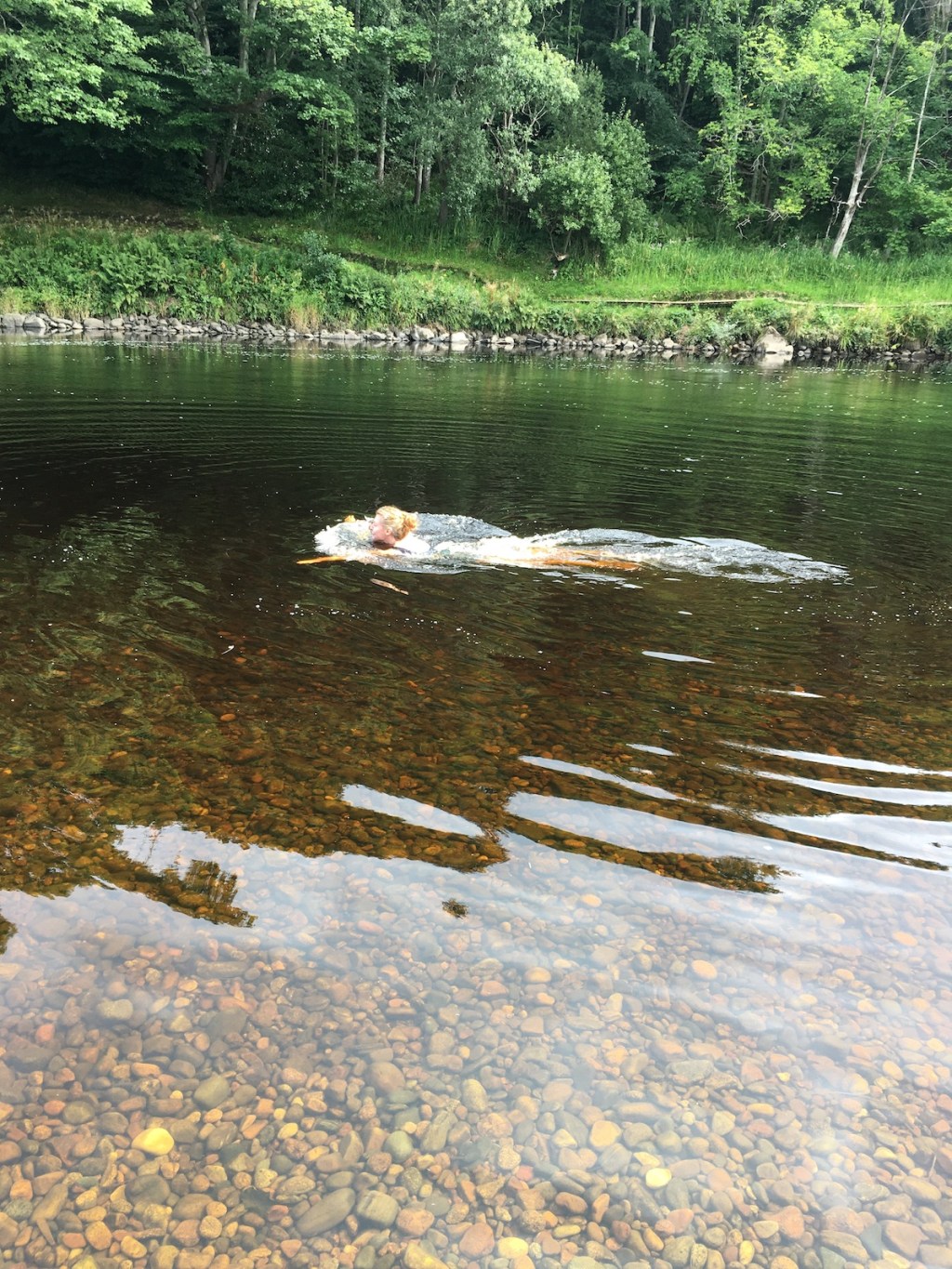 Swimming in the&nbsp;Dee