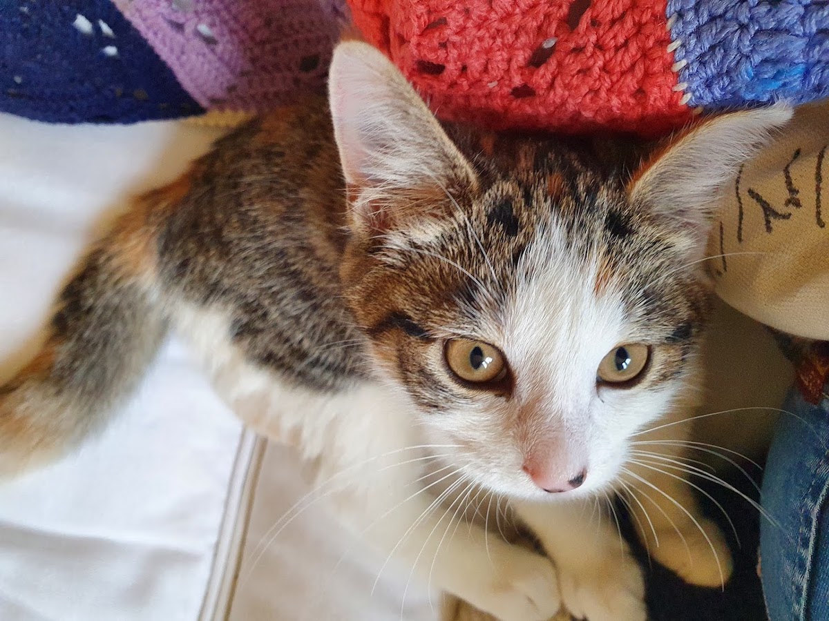 K0PR27gFZ_4IhMGIksrdTbAsP2AV0H5wbV7YCMaG3tnsZn4milsC1q5JQHAeS8i8gM0TDf1SYj6Pxb5LGsvRLHGfKU1Ah_XrF_D8DVSNNcLLeySPiec2T05-8ZsN4sgJ3a2sI19_3a3KlbcBKqbRofyuCH-U4sLNkNVa211Y6EWsvo3-Ax1sw9BjXjHA7c5gwFhW1v-l_6u1OjwZpJR1hej66q