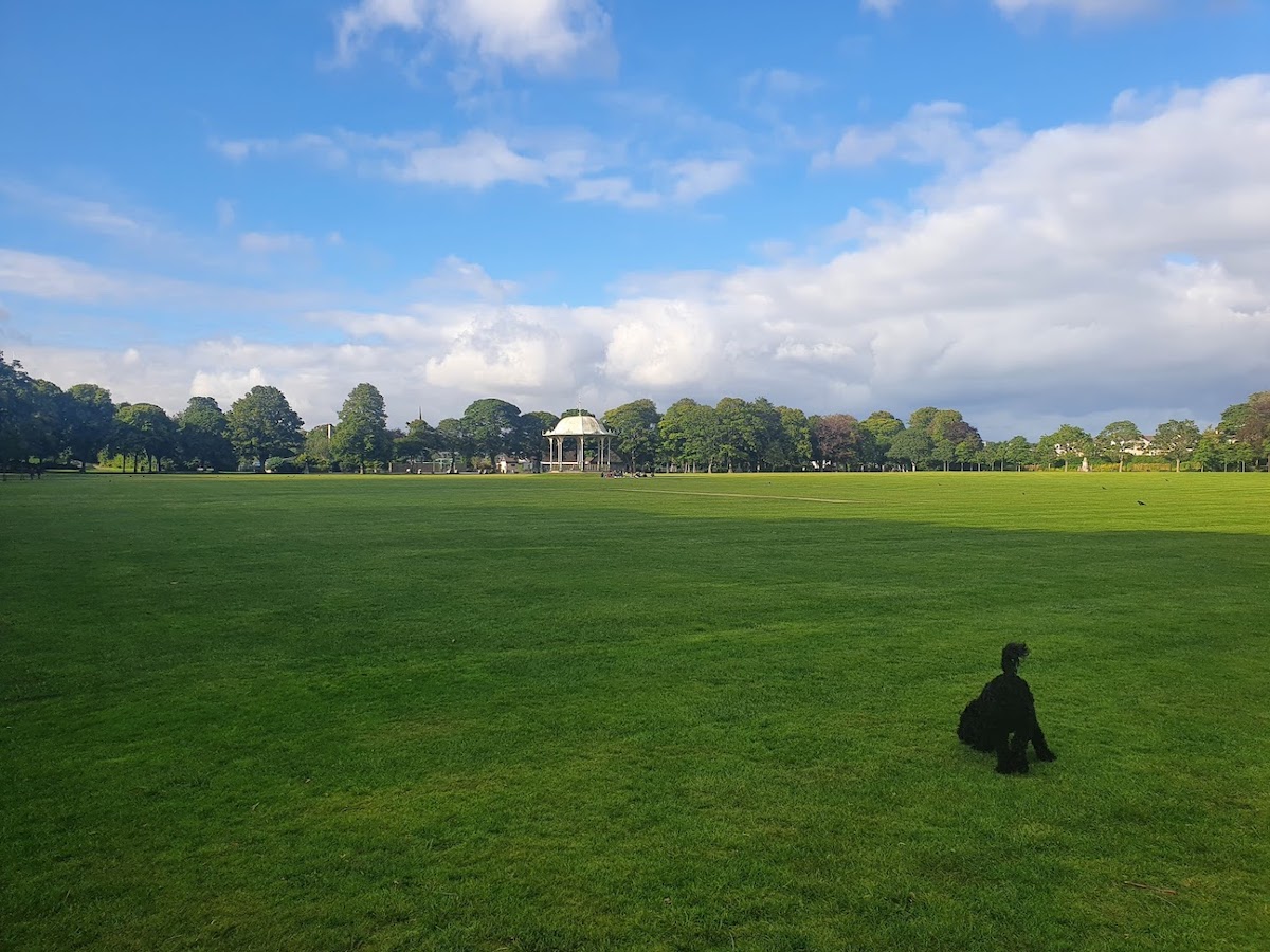 VbJNFzjWWw1EbaYYvQJ-Pd5QntzRrk80pObGpAiki0tlUvLnmv2EFVi9qwzX6jFkZvAJJasgJDgS9fh2u0eVmaitOJRXGSWCwgXbhFdZI0KUJEMRubvuJQ97eIK4Zyr35IQz1r_FMC-mUHqn9DqivsGyqhtDW74yiWG18HCDAv_m8Vtt6qRTI7Q9EUzK8g6z_s7ki7OLMbcx2i8ptRNhFLmfl8