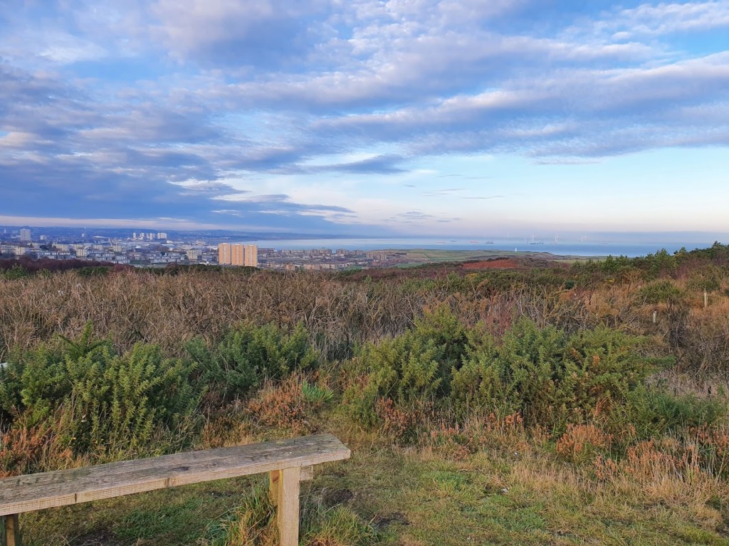 The farting woods (Tullos Wood)
