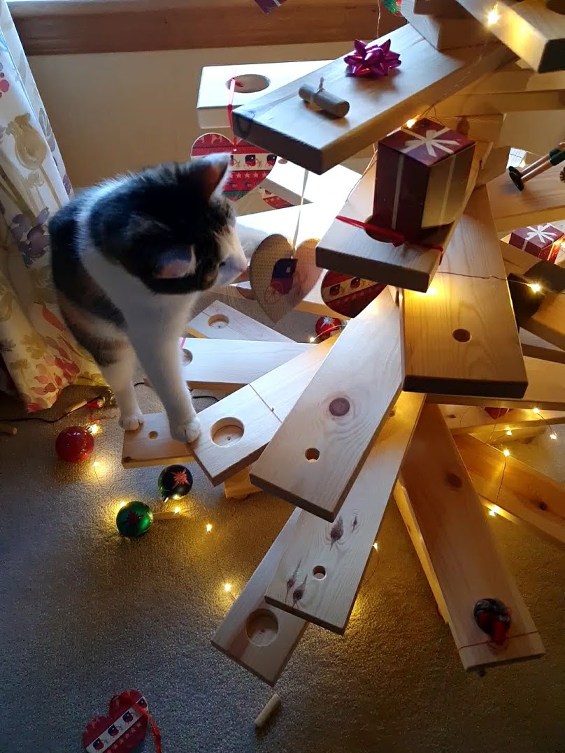 The Oxford vaccine, lockdown in Aberdeen, and online&nbsp;games