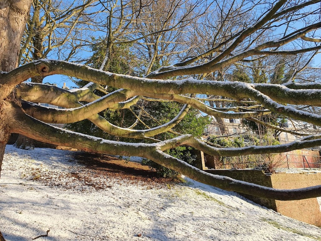 The snow gods&nbsp;delivered