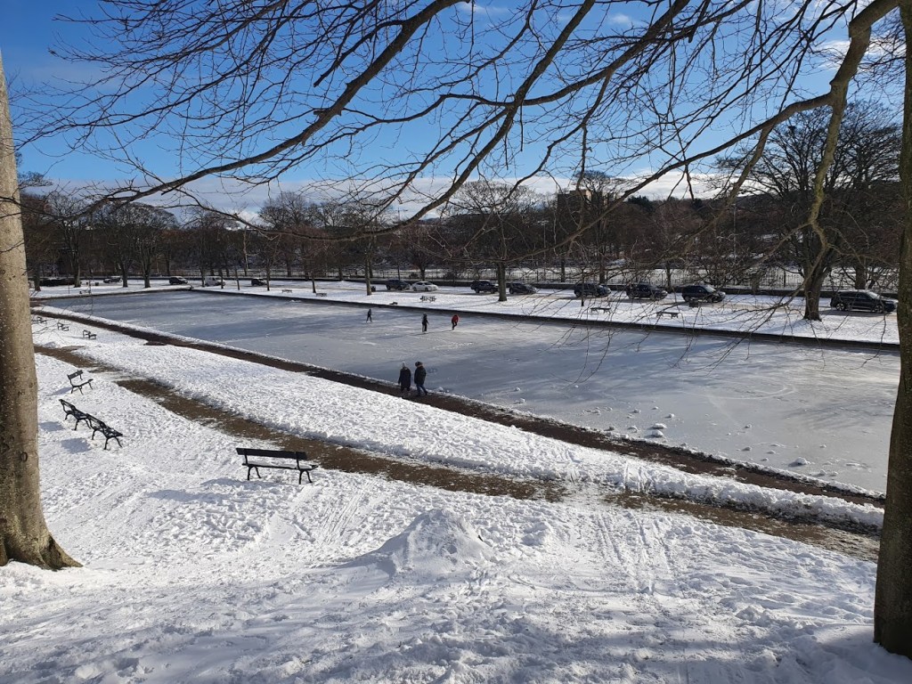 Ice-skating at Duthie&nbsp;Park