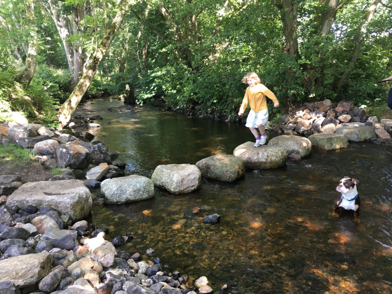 A new Doctor Who and speed&nbsp;tourism