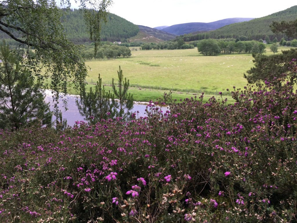 The Cairngorms