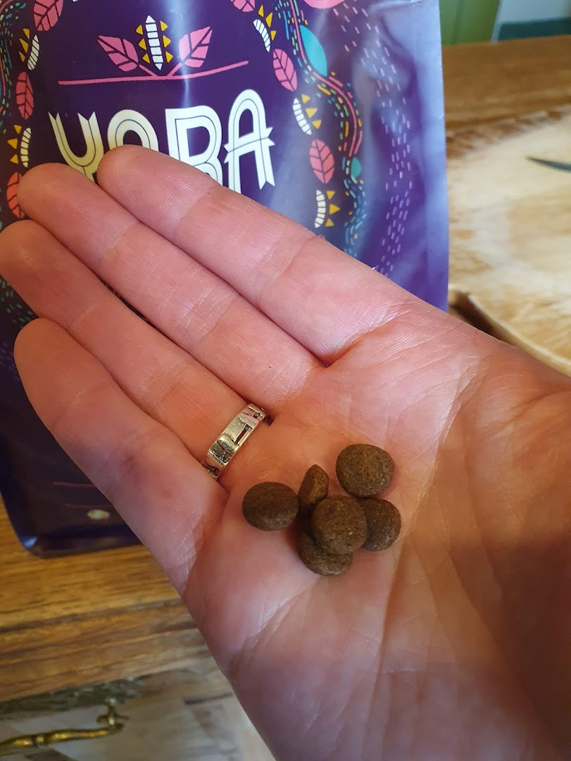 Victoria gives Yora’s insect-based cat food the&nbsp;paws-up