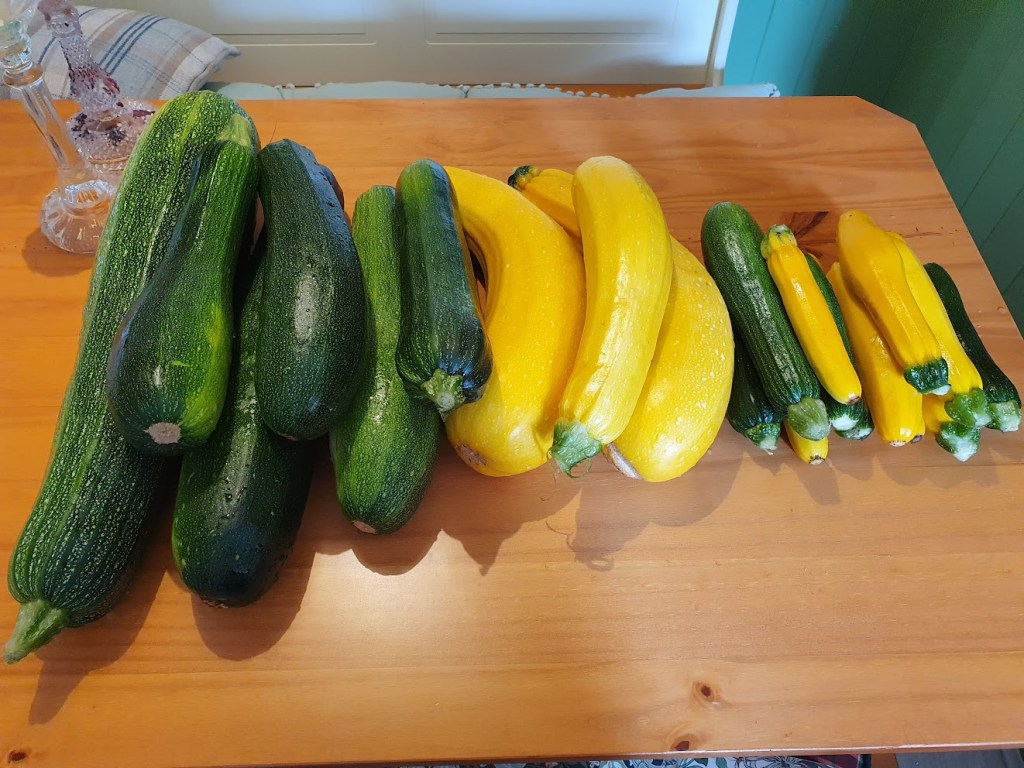 Some courgettes