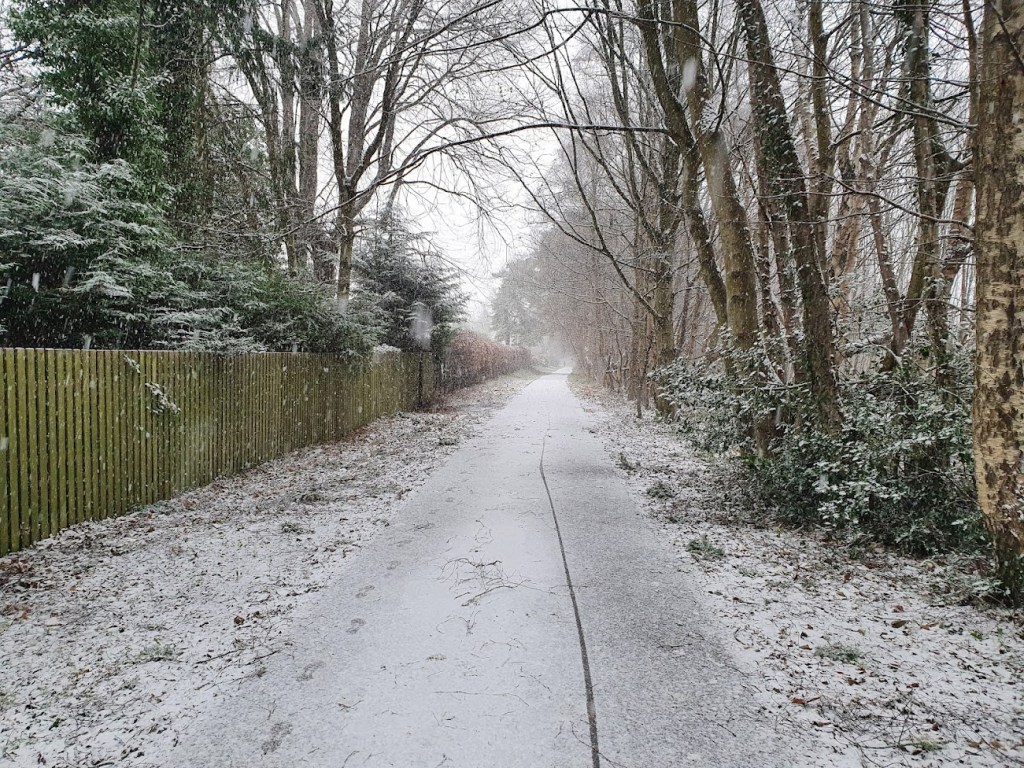 Snow and storm&nbsp;Arwen