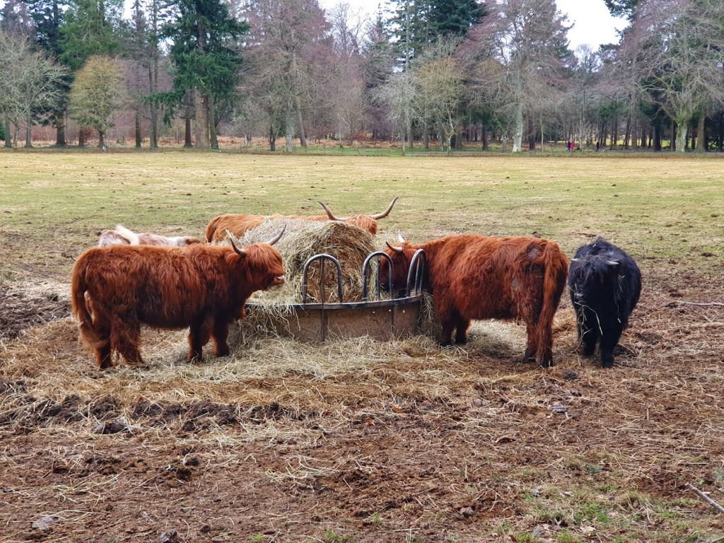 Scavenger hunt and Crathes&nbsp;Castle