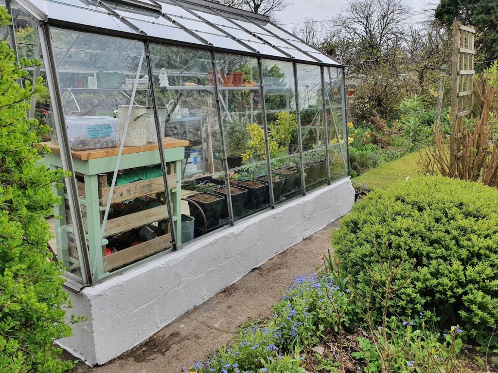 The greenhouse