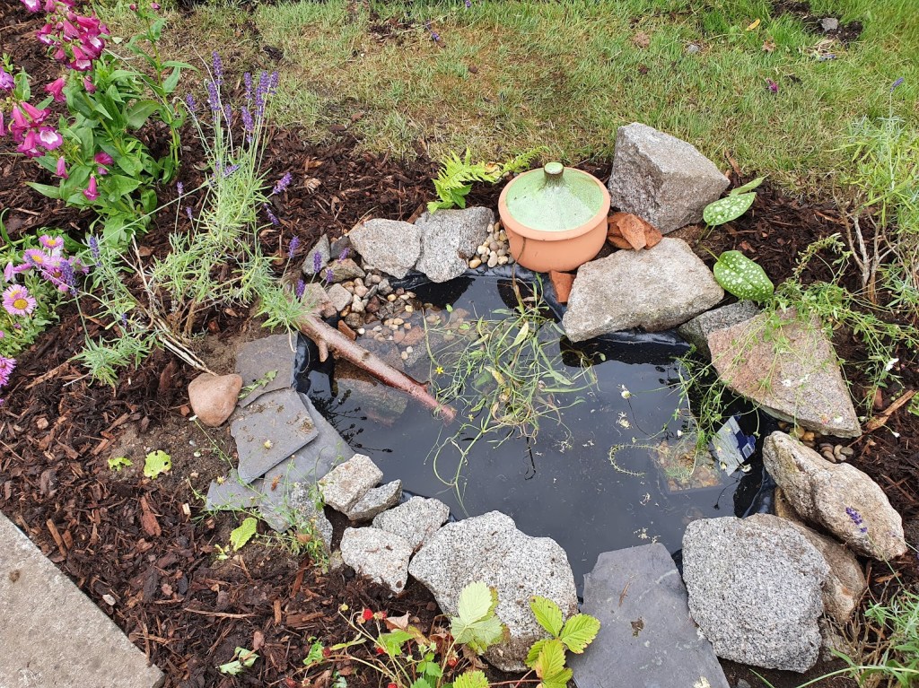 A garden pond