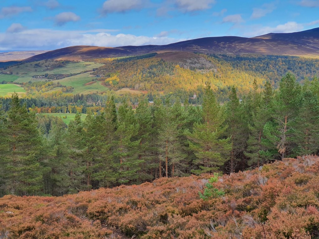 The view from the top