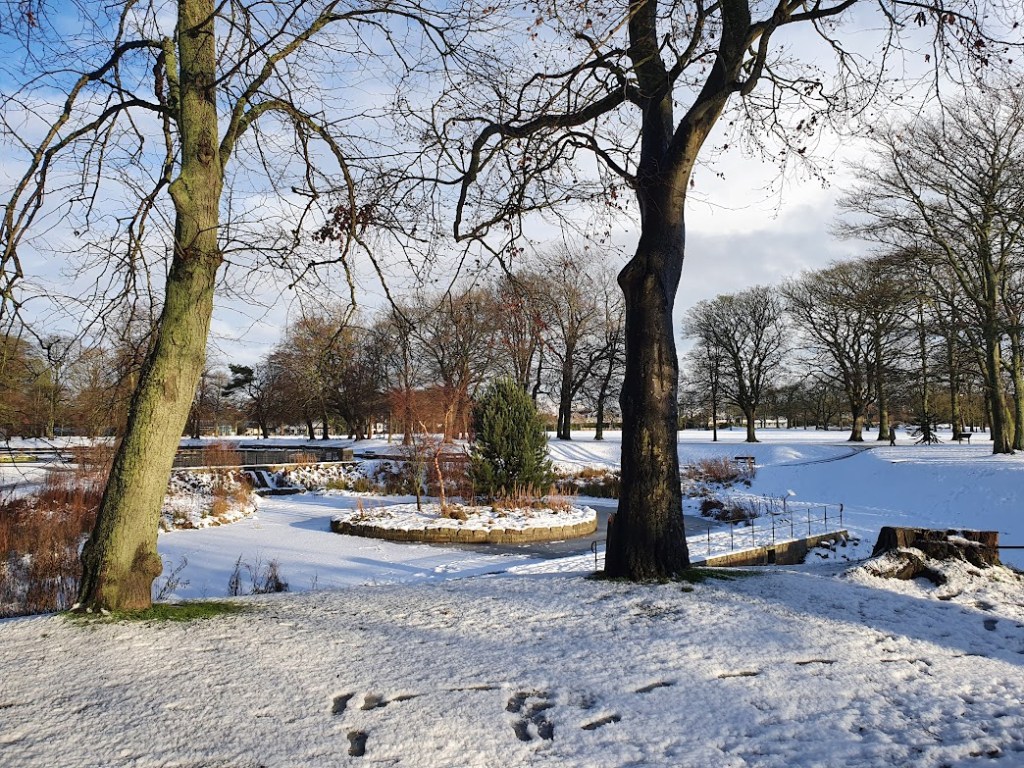 The small pond at Duthie Park covered in snow.