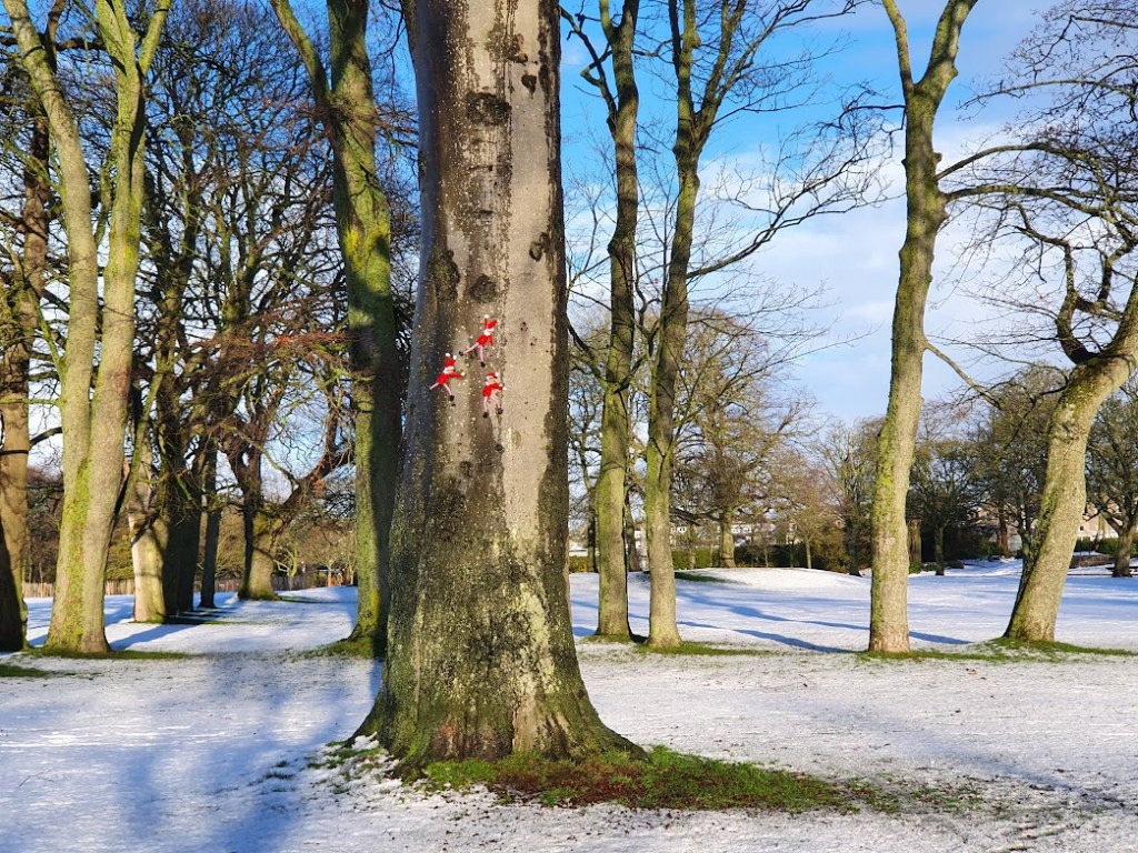 Duthie Park in the&nbsp;snow