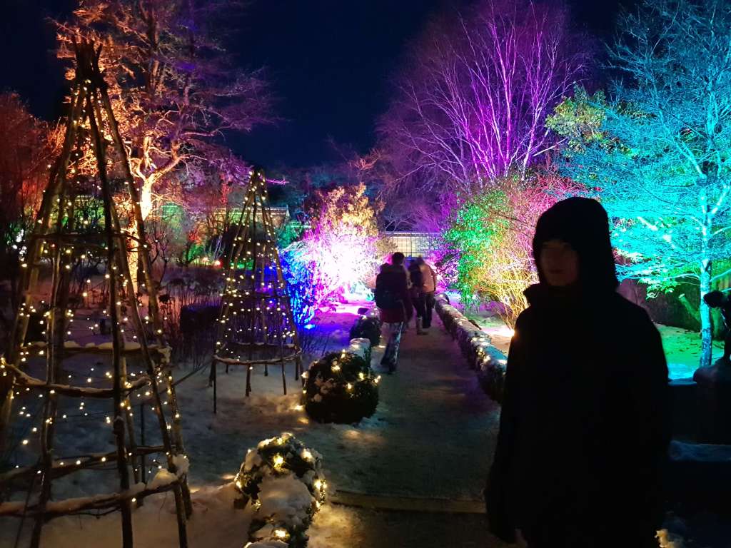 A very colourful and bright pathway with fairy lights and Daniel in the foreground