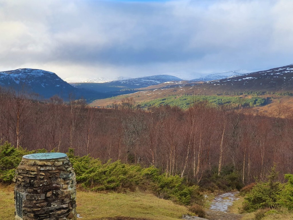 “Let’s go skiing, it’ll be&nbsp;fun”