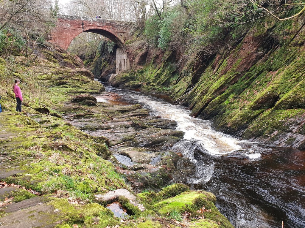 Angus for a holiday and Rocket&nbsp;relaunched