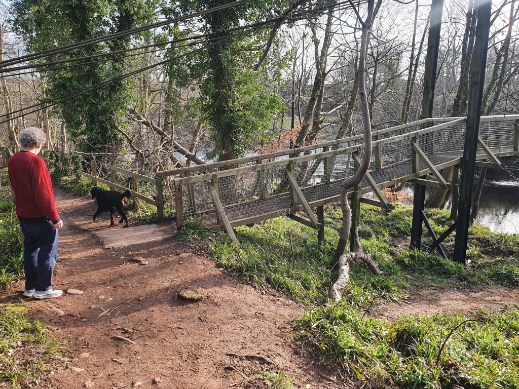 Ben looking at a black dog next to the entrance to the Shakin Brig.