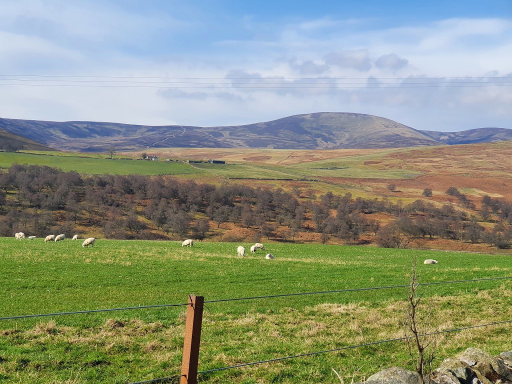 Photos of Glen Esk, Fettercairn, and Fasque&nbsp;House