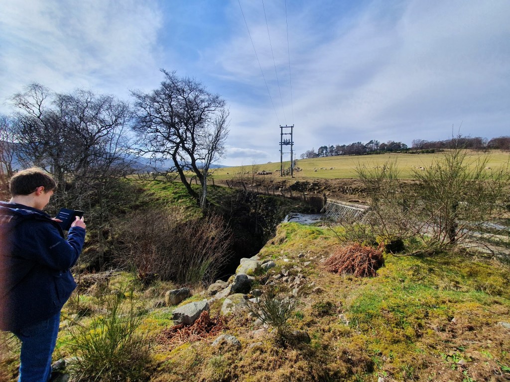 Rural scene with green fields and sheep in the distance. Daniel is in the foreground taking a photo.