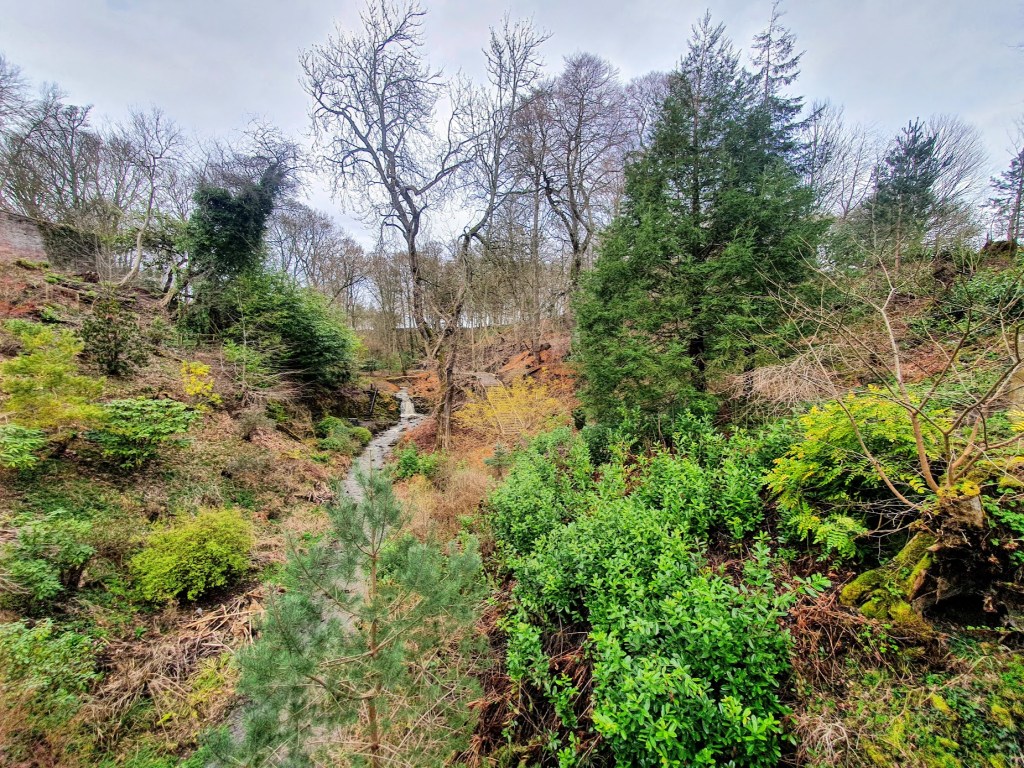 The forest garden - another view