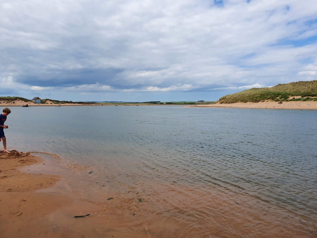 Ythan Estuary
