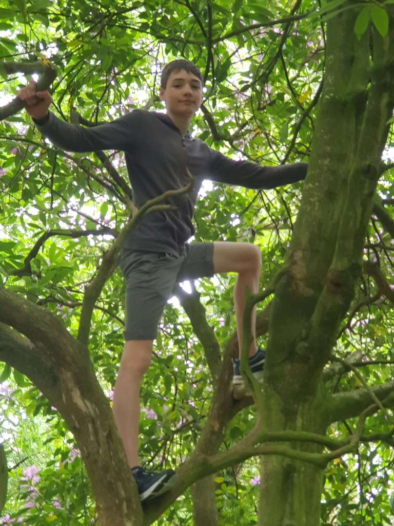 Etienne in the tree at Newton Dee