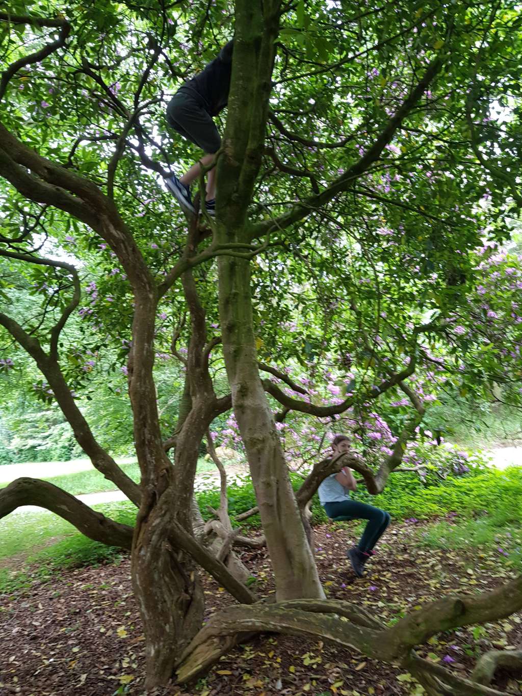 Newton Dee and a hamster update