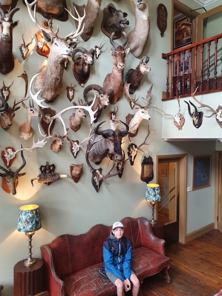 Etienne sitting beneath of wall of taxidermy heads.