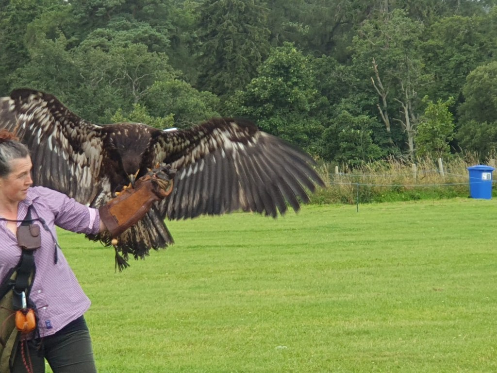 The Battle of Corrichie&nbsp;re-enactment