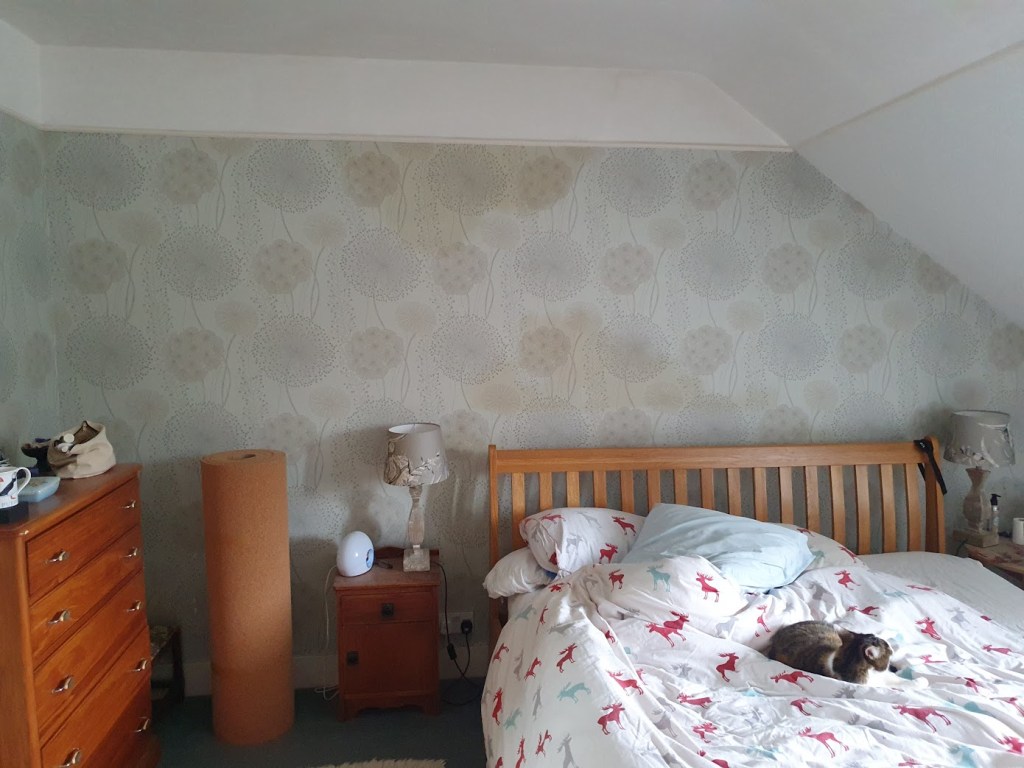 Photo of our bedroom wall with the bed up against and the cat lounging on the bed.