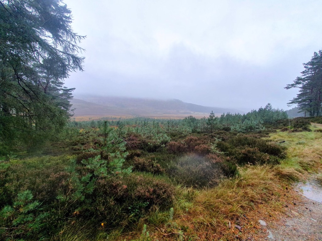 View just up the hill from the bothy